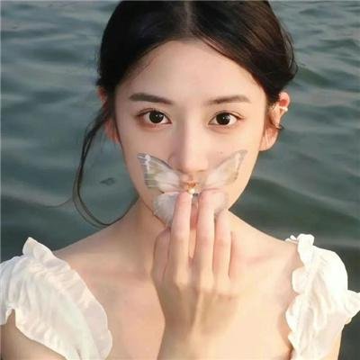 庇护棕榈树下